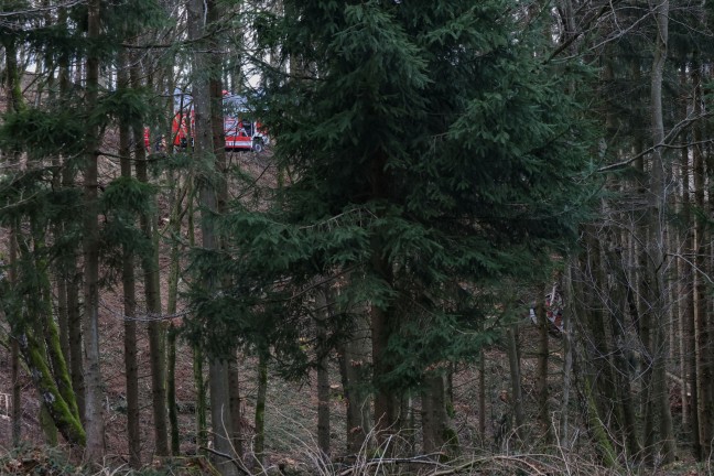 	Tödlicher Baggerabsturz bei Forstarbeiten in einem Waldstück in Niederthalheim