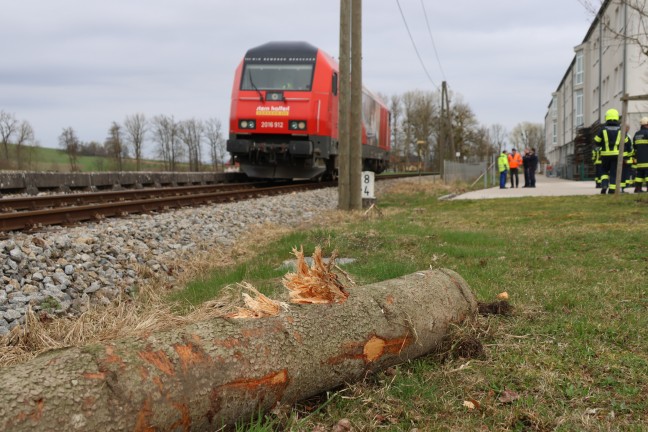 	Lok streift auf Bahnübergang in Fraham Heck eines Holztransporter-Anhängers
