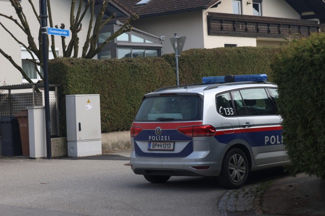 	Einsatzkräfte befreiten in Steinhaus leblose Person aus Auto in einer Hauseinfahrt