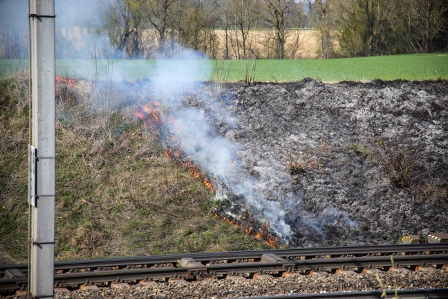 	Brand im Bereich der Bahnböschung in Marchtrenk sorgte für Einsatz zweier Feuerwehren