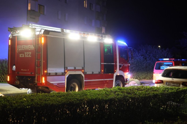 	Brand eines Müllcontainers in einer Siedlung in Wels-Lichtenegg sorgte für Einsatz der Feuerwehr