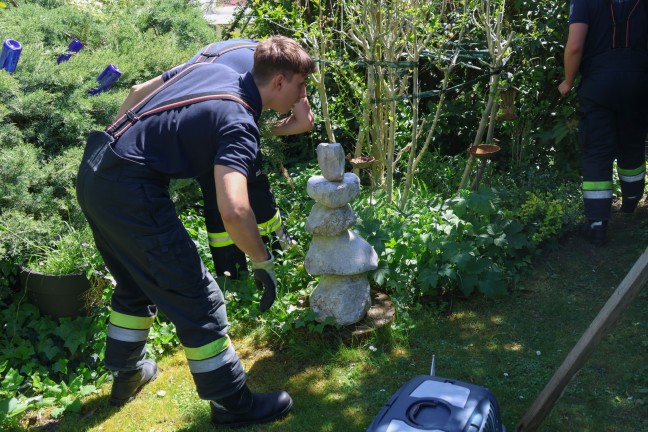 	Entenfamilie rief Kräfte von Feuerwehr und Ordnungswache in Wels-Pernau auf den Plan