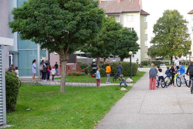 Abgestürzter Lichtschachtrost in einer Wohnanlage in Wels-Neustadt durch Feuerwehr geborgen | Foto: laumat/Matthias Lauber Abgestürzter Lichtschachtrost in einer Wohnanlage in Wels-Neustadt durch Feuerwehr geborgen