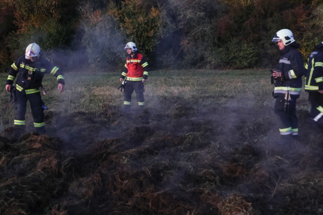 Brand eines Grashaufens auf dem Gelände einer Freizeitanlage in Wels-Vogelweide | Foto: laumat/Matthias Lauber Brand eines Grashaufens auf dem Gelände einer Freizeitanlage in Wels-Vogelweide