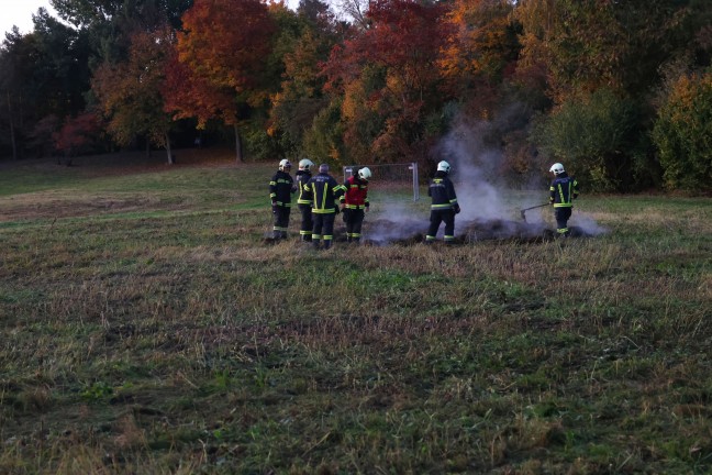 Brand eines Grashaufens auf dem Gelände einer Freizeitanlage in Wels-Vogelweide | Foto: laumat/Matthias Lauber Brand eines Grashaufens auf dem Gelände einer Freizeitanlage in Wels-Vogelweide