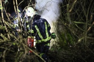 Brand eines hohlen Baumes in Wels-Vogelweide sorgt für Einsatz der Feuerwehr