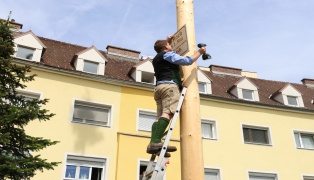 Tradition fortgesetzt: Großes Maibaumfest für politisch umgefärbten Maibaum in Wels-Vogelweide