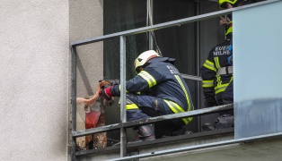 Vier Feuerwehren bei Balkonbrand in Wilhering im Einsatz