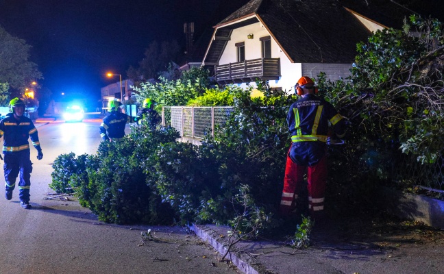 Ausläufer einer Gewitterlinie sorgten für einzelne Sturmeinsätze in Oberösterreich