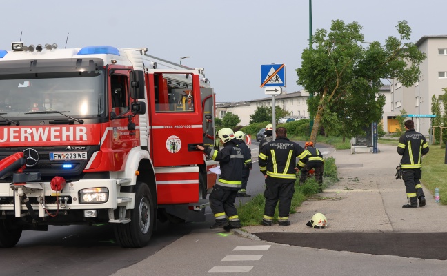 Auto nach Kreuzungscrash in Wels-Vogelweide gegen Baum gekracht