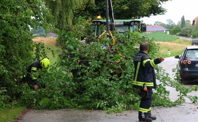 Steinhaus: Sturmböen bei kurzem Gewitter sorgten für mehrere Einsätze der Feuerwehr