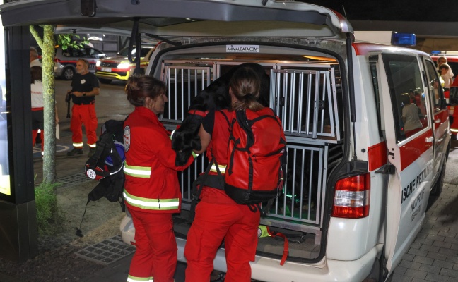 Such- und Rettungshunde im Einsatz: Stundenlange Suche nach abgängiger demenzkranker Frau in Linz
