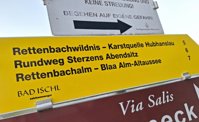 Tödlicher Absturz: E-Biker (65) bei Rettenbachalm in Bad Ischl über steiles Gelände abgestürzt