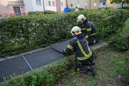 Abgestürzter Lichtschachtrost in einer Wohnanlage in Wels-Neustadt durch Feuerwehr geborgen | Foto: laumat/Matthias Lauber Abgestürzter Lichtschachtrost in einer Wohnanlage in Wels-Neustadt durch Feuerwehr geborgen