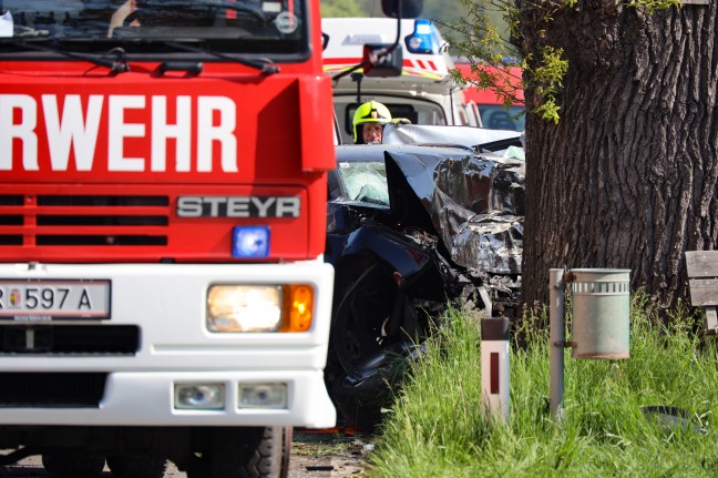 Tödlicher Verkehrsunfall: Auto in Tollet frontal gegen Baum gekracht