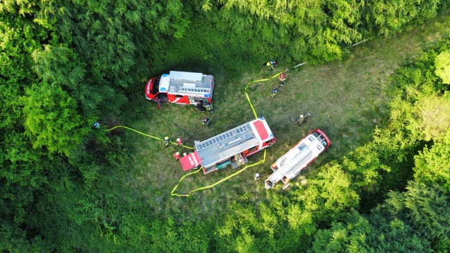 Großeinsatz der Feuerwehren bei Waldbrand in schwer zugänglichem Gelände in Haibach ob der Donau