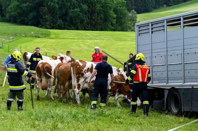 14 Feuerwehren bei Großbrand auf Bauernhof in St. Johann am Wimberg im Einsatz