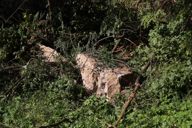 Felssturz: Große Felsbrocken und Bäume auf Wanderweg in St. Martin im Mühlkreis gestürzt