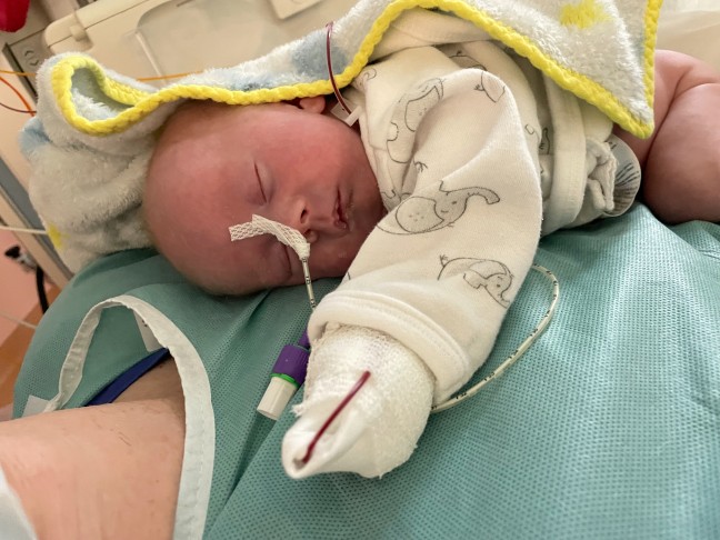 Stammzellenspende: Typisierungsaufruf für Baby Elina aus Zwettl an der Rodl