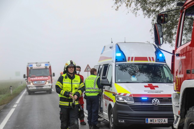 Fahrerin und Beifahrer nach schwerem Verkehrsunfall in Holzhausen aus Auto befreit