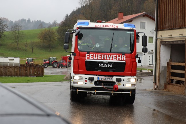 Personenrettung nach schwerem Forstunfall in einem Waldstück in Natternbach