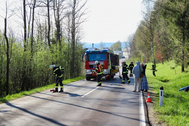 	PKW bei Verkehrsunfall in Vorderweißenbach von der Straße abgekommen