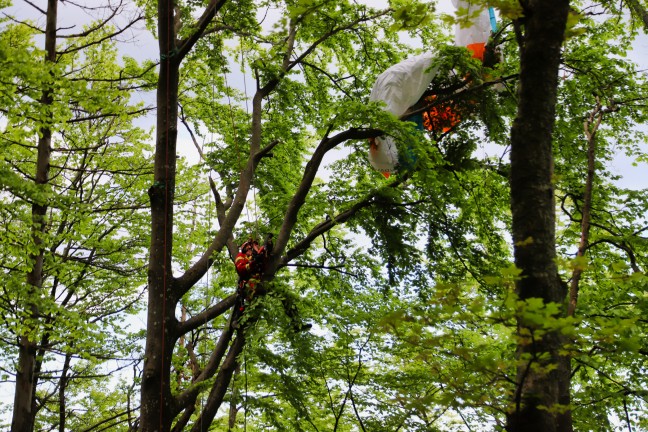 	Paragleiter in Baum: Einsatzkräfte bei Personenrettung in Ternberg im Einsatz