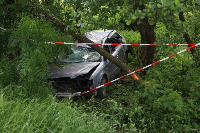 	Auto auf Innviertler Straße bei Grieskirchen frontal gegen mehrere Bäume gekracht