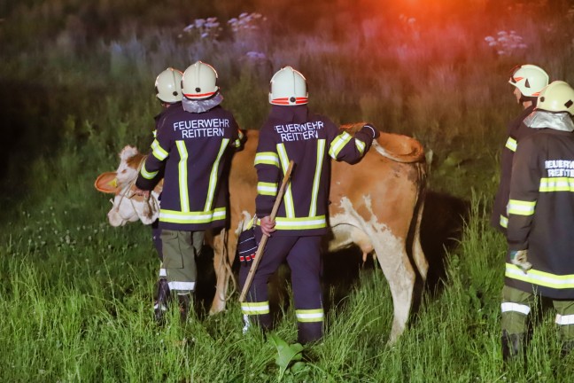 	Großbrand: Wirtschaftstrakt eines Bauernhofes in Pöndorf stand in Vollbrand
