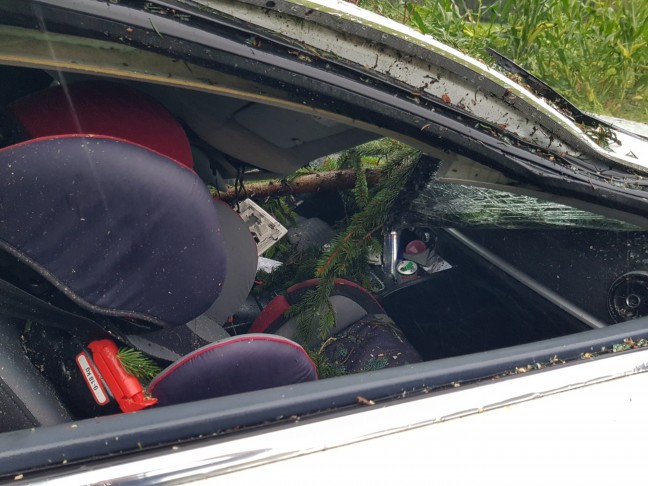 	Personenrettung: Baum auf Innviertler Straße bei St. Florian am Inn auf fahrendes Auto gestürzt