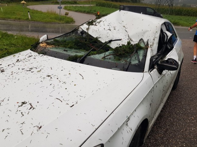 	Personenrettung: Baum auf Innviertler Straße bei St. Florian am Inn auf fahrendes Auto gestürzt