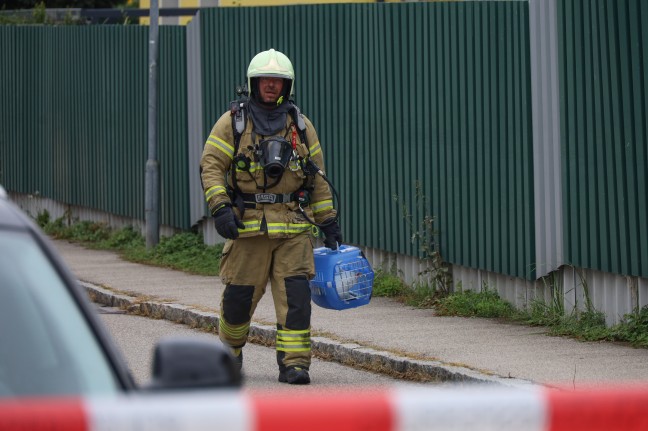 	37 Personen gerettet: Großeinsatz nach Wohnungsbrand in Mehrparteienwohnhaus in Traun