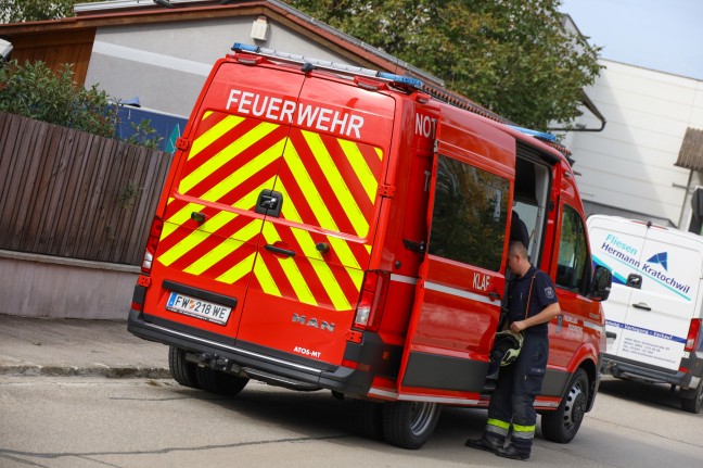 	Äskulapnatter durch Feuerwehr aus dem Siedlungsbereich in Wels-Pernau chauffiert