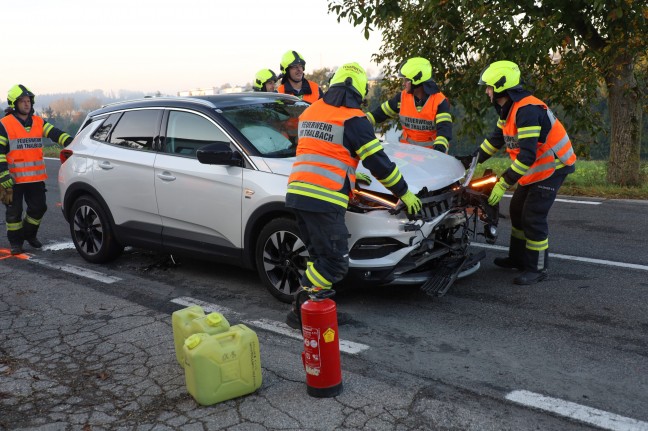 	Auffahrunfall im Frühverkehr mit drei beteiligten Autos in Thalheim bei Wels