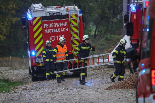 	Feuerwehr mit Höhenrettern bei Personenrettung aus defektem Deckenkran in Buchkirchen im Einsatz