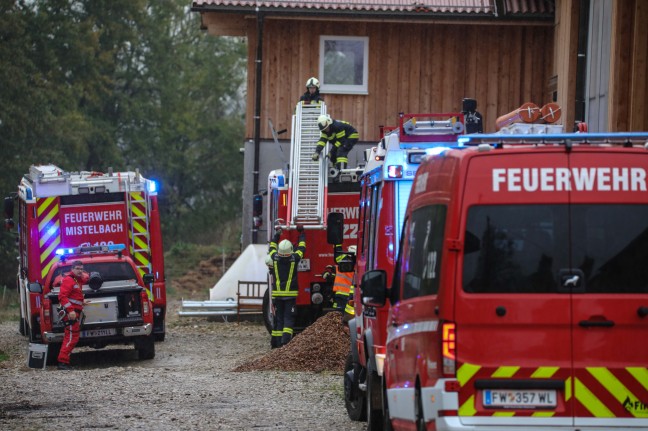	Feuerwehr mit Höhenrettern bei Personenrettung aus defektem Deckenkran in Buchkirchen im Einsatz