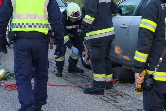 	Junges Reh in Wels-Schafwiesen unter Auto eingeklemmt - Feuerwehr befreite Tier mittels Hebekissen