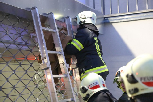 	Katze in Tiefgaragentor eingeklemmt - Feuerwehr bei Tierrettung in Wels-Vogelweide im Einsatz