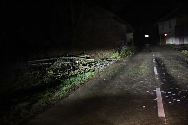 	Umgestürzer Baum blockierte Straße in Neukirchen bei Lambach