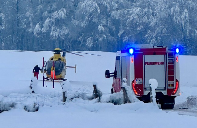 	Tödlicher Forstunfall in Gilgenberg am Weilhart - Mann (33) unter Wurzelstock eingeklemmt