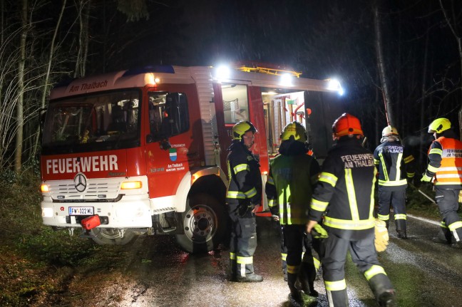 	Auto in einem Waldstück in Thalheim bei Wels mit umgestürztem Baum kollidiert