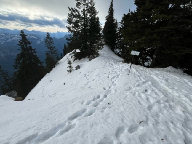 	Tödlicher Alpinunfall: Bergsteiger (33) am Traunstein in Gmunden mehrere hundert Meter abgestürzt
