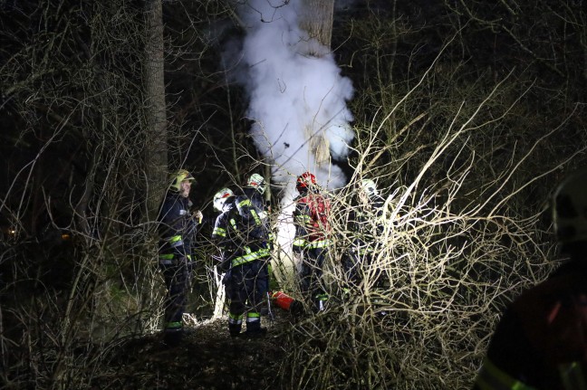 	Brand eines hohlen Baumes in Wels-Vogelweide sorgt für Einsatz der Feuerwehr