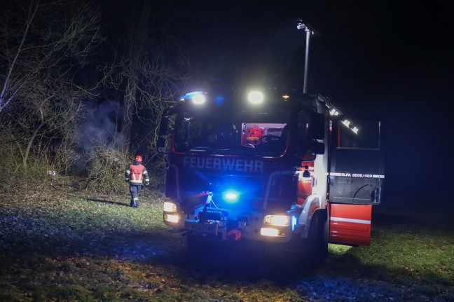 	Brand eines hohlen Baumes in Wels-Vogelweide sorgt für Einsatz der Feuerwehr