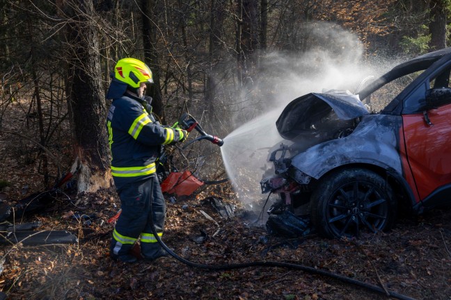 	Auto bei Überackern gegen Baum gekracht und in Flammen aufgegangen