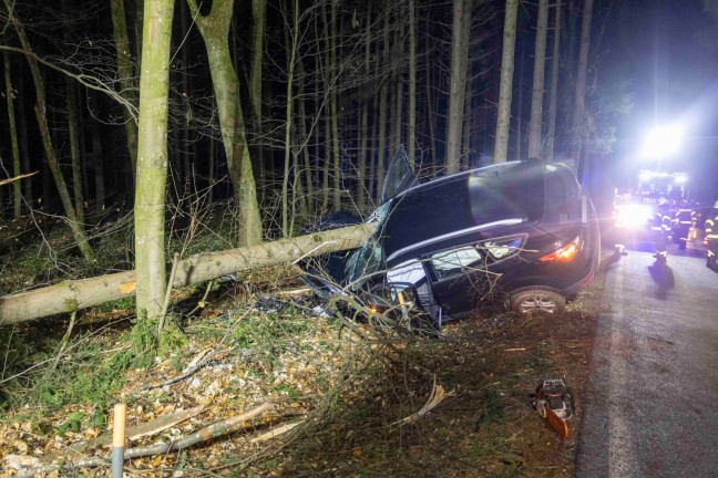 	Auto bei schwerem Verkehrsunfall bei Senftenbach von Baum regelrecht aufgespießt