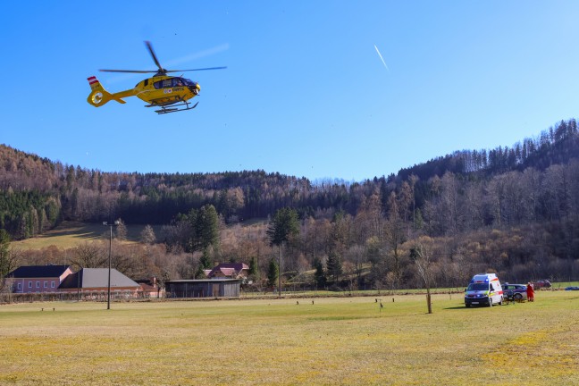 	Personenrettung: Schwerverletzter nach Forstunfall in Micheldorf in Oberösterreich