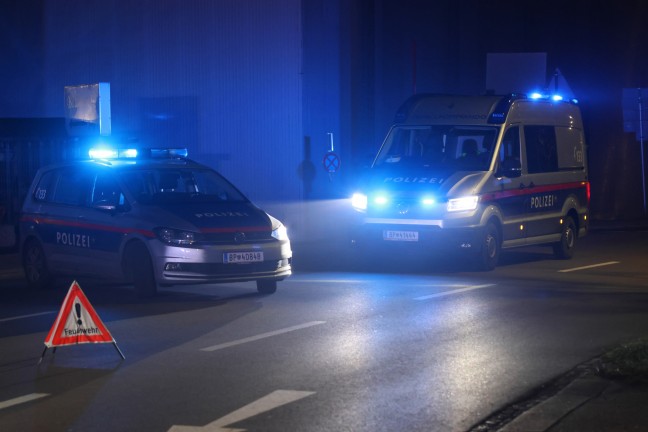 	Auto in Wels-Pernau in ein parkendes Fahrzeug gekracht