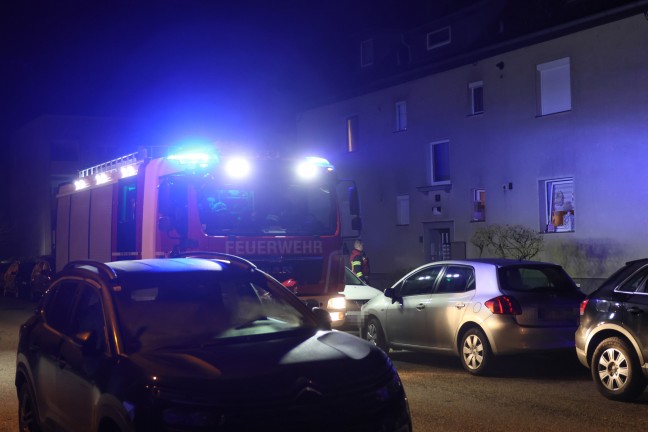 	Feuerschale löste Einsatz der Feuerwehr in Wels-Neustadt aus