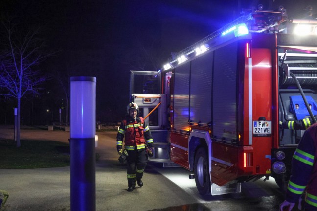 	Brand auf einer Parkbank in Wels-Lichtenegg sorgte für nächtlichen Einsatz der Feuerwehr